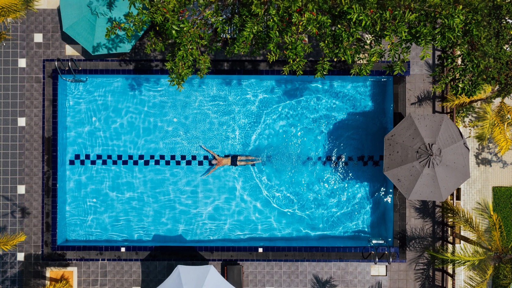 A person swimming in a pool with a checkered lane divider, surrounded by greenery and umbrellas.