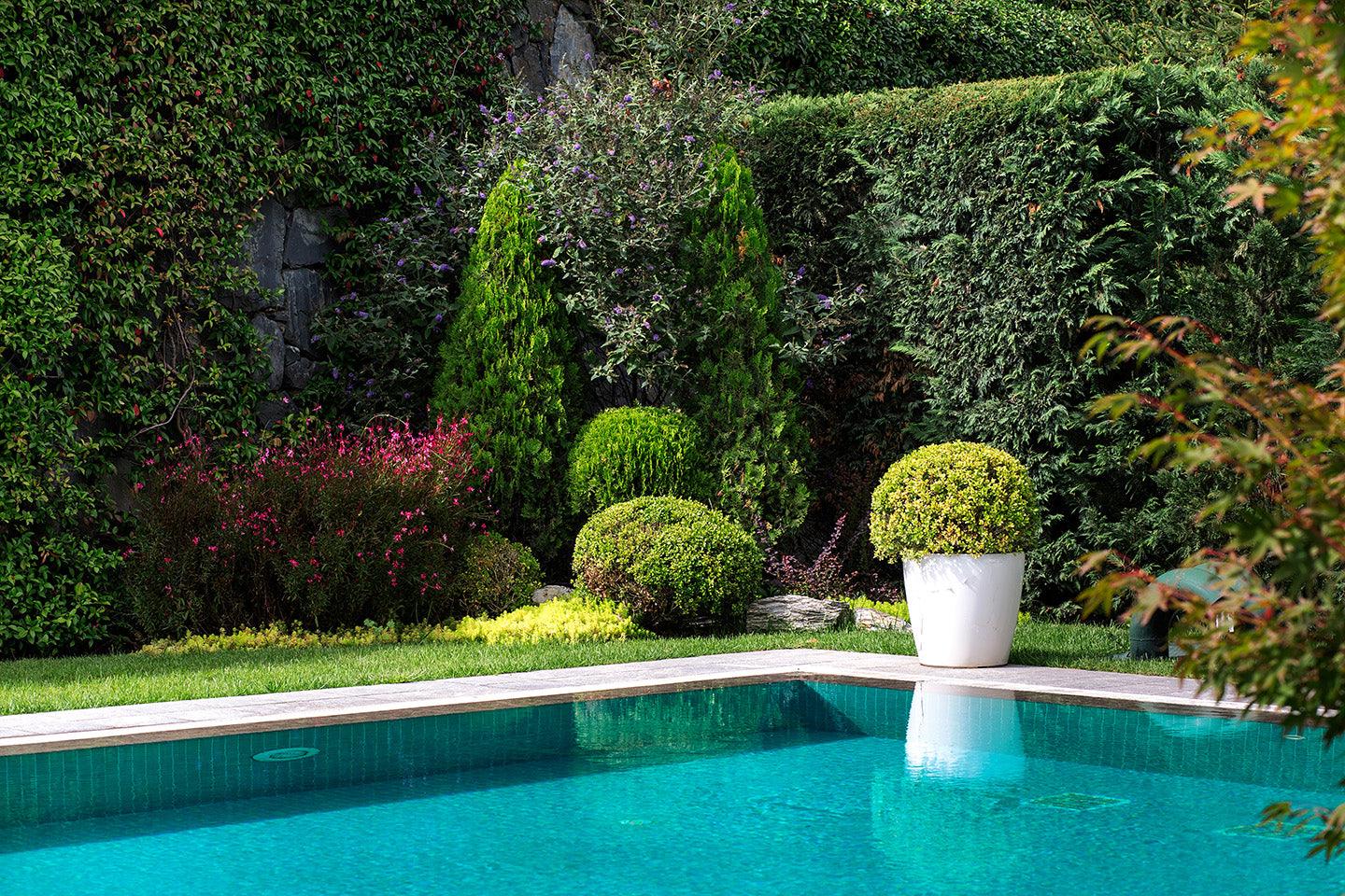 Summer pool maintenance tips - Penguin Leisure Construction Ltd