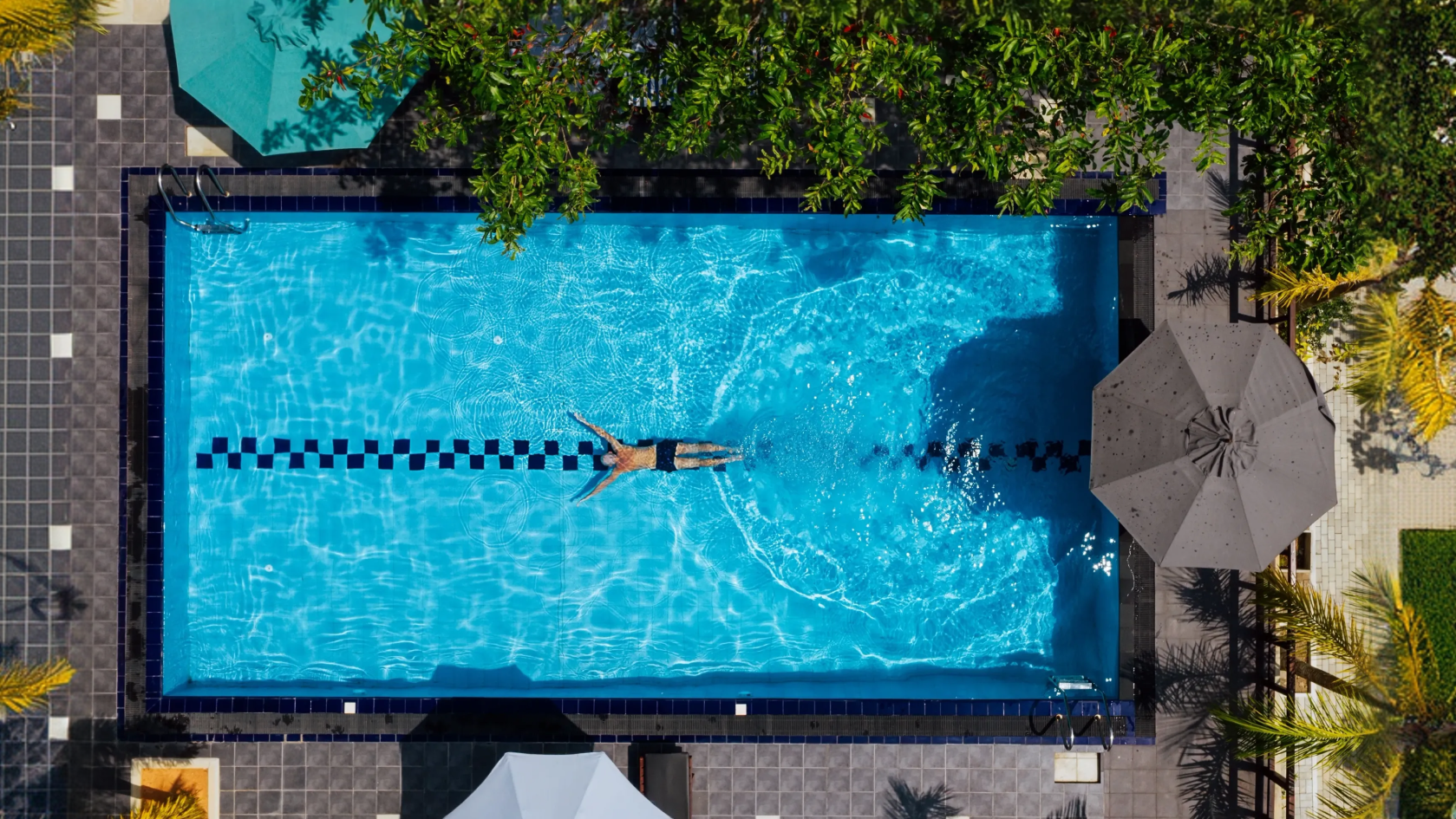 A person swimming in a pool with a checkered lane divider, surrounded by greenery and umbrellas.